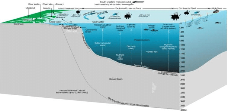 Schematic diagram showing salient characteristics of the marine system... | Download Scientific Diagram